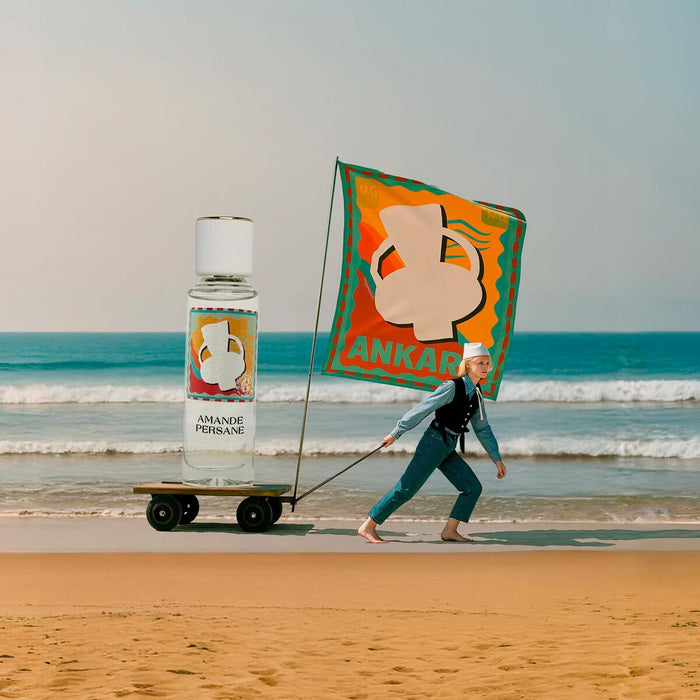 V2H43B3A00389A3F95414033E7DC6DE1D44R7356017P3