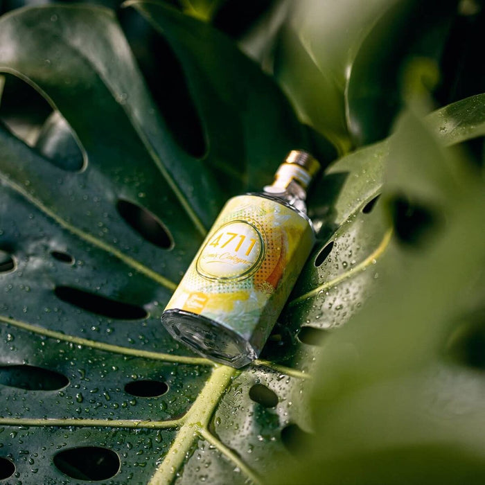 V2H97572DE43F5433C0813C3624216F65EDR7528132P4