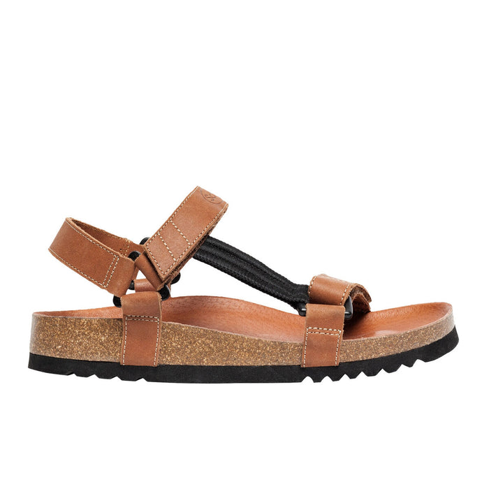 V5H9C1E53E040D70068C1B17C52E1EEA568R6430662P2