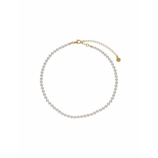 V4H1B65A34380E6C743896F2C39699CEA61R6188115P1