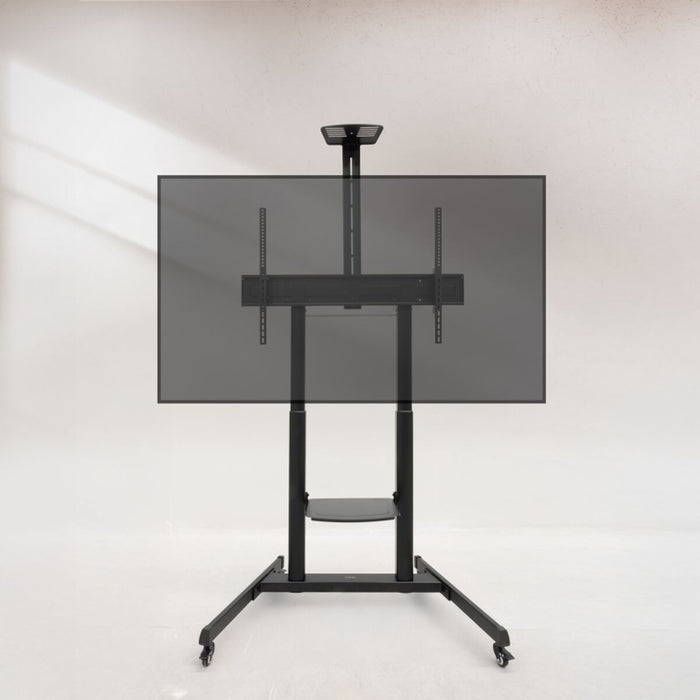 V3H1E1B666714E514E23CD9134CE1CF372FR6202085P8