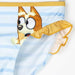 V2HBBEE131CA3C9DA79CD14EBBE6ACB7F79R4785247P3
