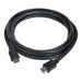 V12H890CE43835F124591D10E512CC80875CR3673256P1